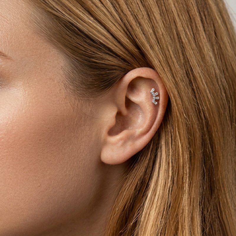 1 Pcs ASTM Titanium Helix Pier - đánh giá và giá Conch Earring Hoop