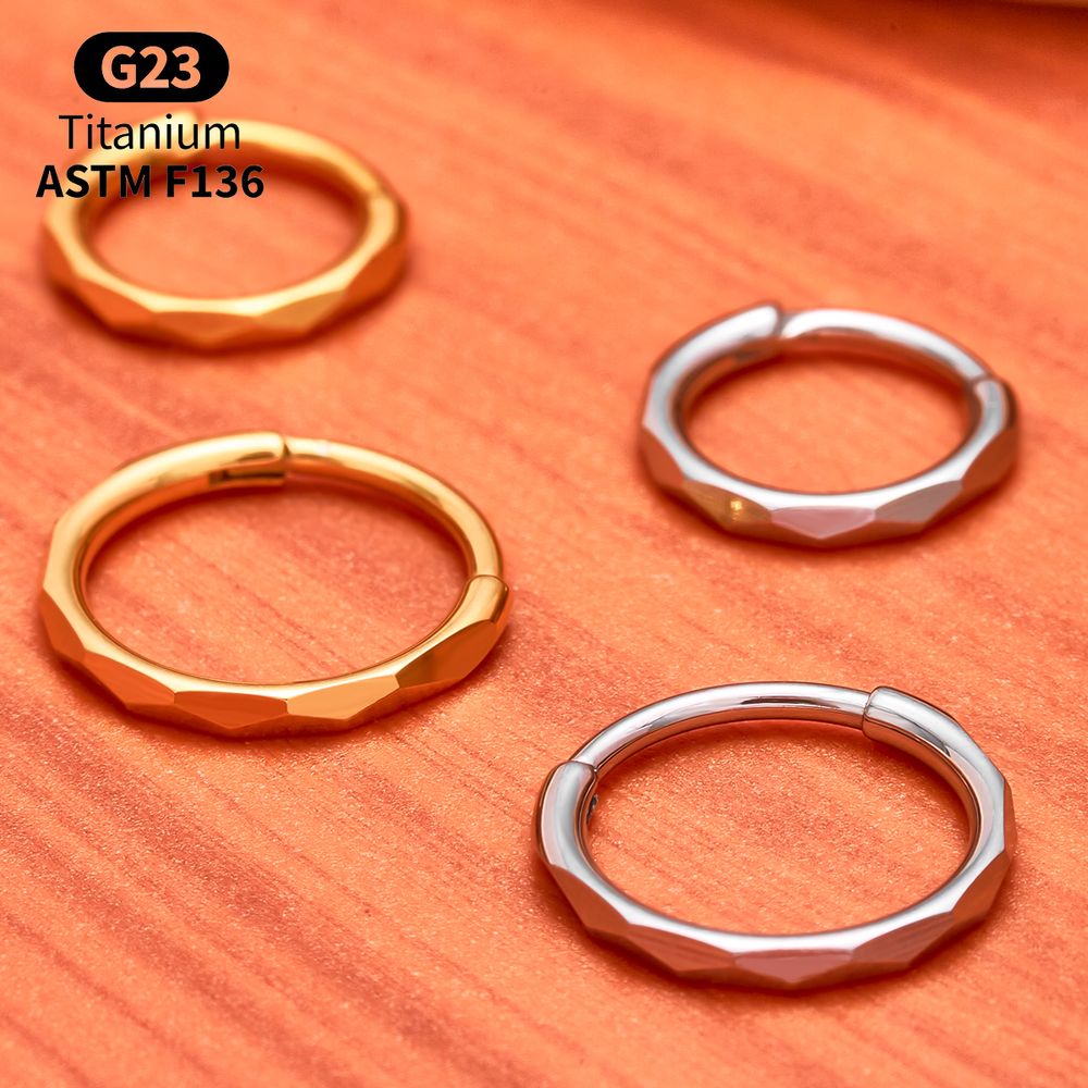 G23 Titanium Faceted CZ Hinged - đánh giá và giá Conch Earring Hoop