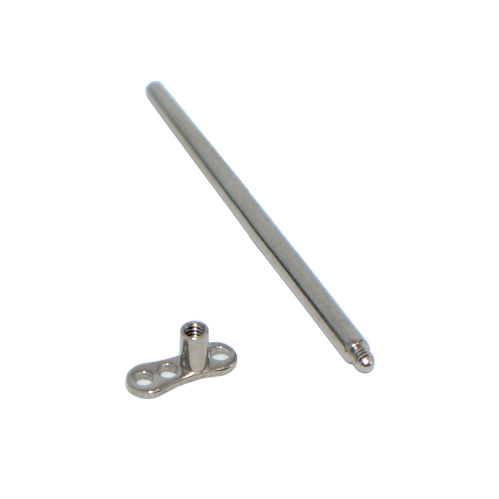 316L Phẫu Thuật Inox Lắp Pin C - đánh giá và giá Body Jewelry Dermal
