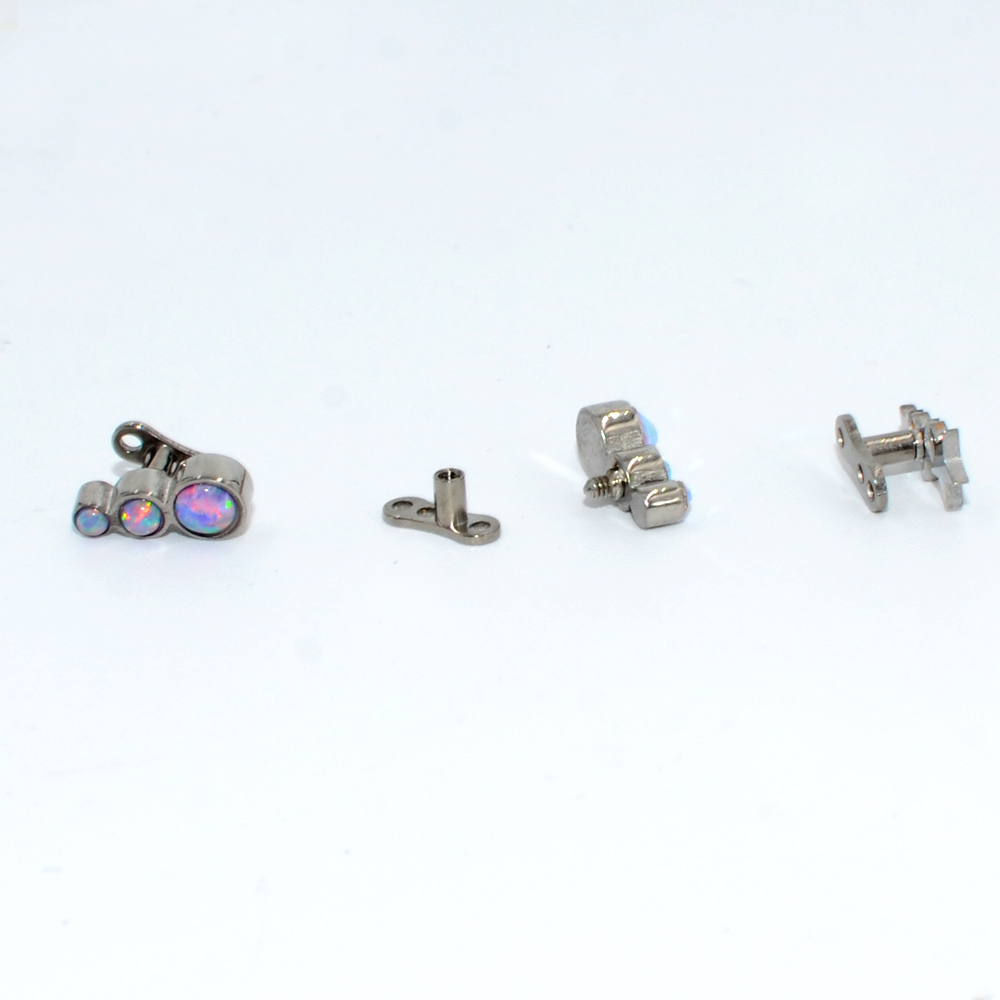 1 Máy Tính Không Gỉ/Titan Chân - đánh giá và giá Body Jewelry Dermal