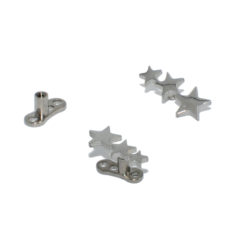 1 Máy Tính Không Gỉ/Titan Chân - đánh giá và giá Body Jewelry Dermal