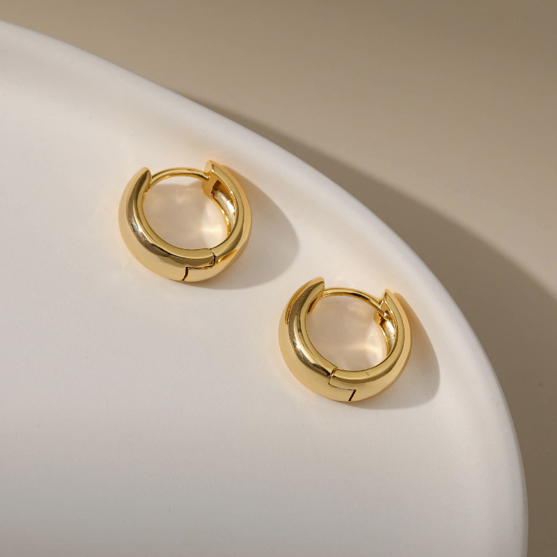 Simplicity Prime Circle Hoop E - đánh giá và giá Conch Earring Hoop