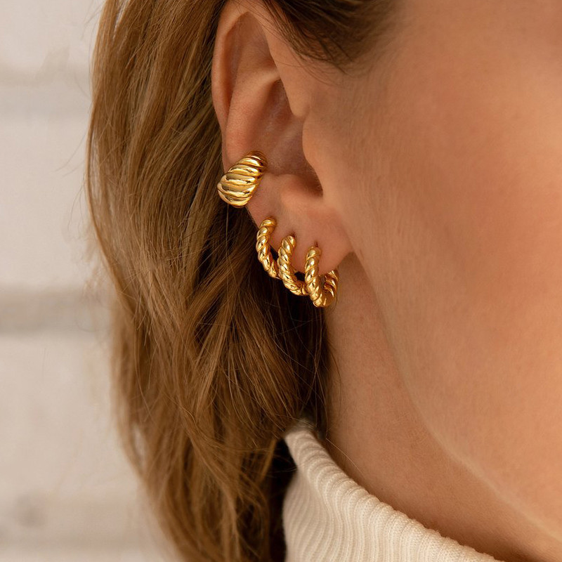12/14/16mm Trendy Twisted Smal - đánh giá và giá Conch Earring Hoop