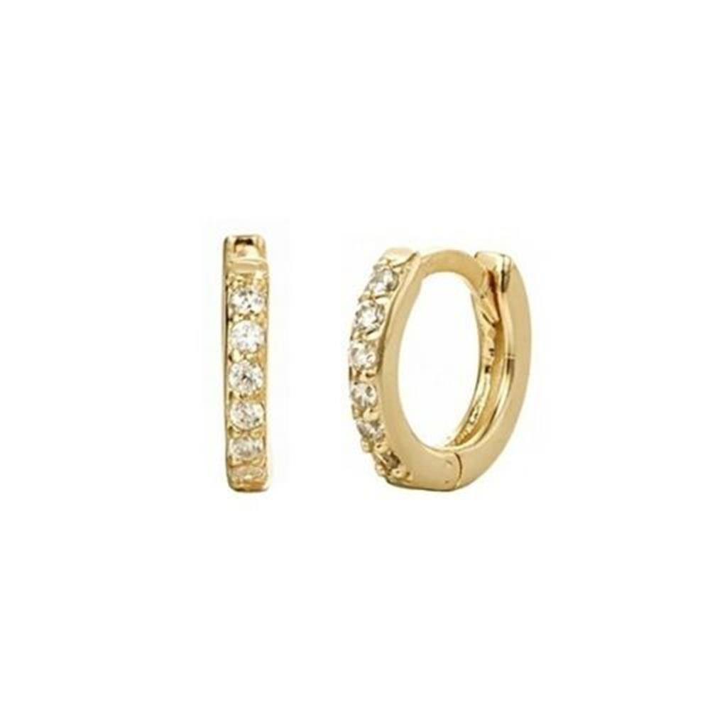 Huggie Hoop Earring Daith Conc - đánh giá và giá Conch Earring Hoop